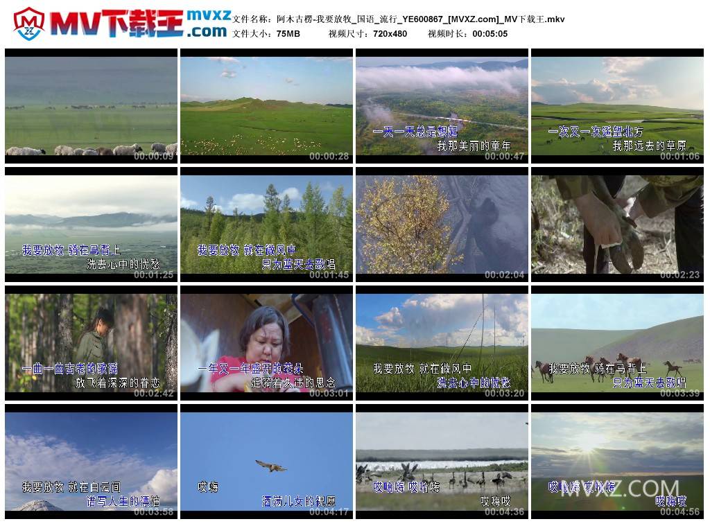 阿木古楞-我要放牧_国语_流行_YE600867
